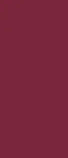 Buildtech 2.0 Burgundy Glossy 6 Mm 120x280