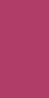 Buildtech 2.0 Fuchsia Glossy 6 Mm 60x120