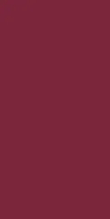 Buildtech 2.0 Burgundy Glossy 6 Mm 60x120