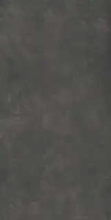 Buildtech 2.0 Ce Coal+Ptv 60x120