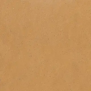 Earthtech Savannah Ground Ptv 9 Mm 60x60