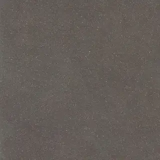 Earthtech Carbon Ground Ptv 9 Mm 60x60