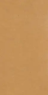 Earthtech Savanah Ground Ptv 9 Mm 60x120