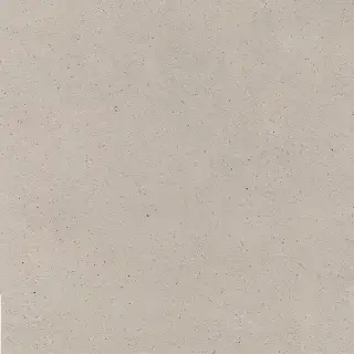 Earthtech Desert Ground Ptv 9 Mm 60x60