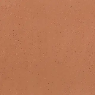 Earthtech Outback Ground Ptv 9 Mm 60x60