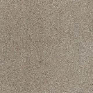 Industrial Steel Bocciardato 20 Mm 60x60