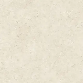 Stontech 4.0 Stone 02 R+Ptv 6 Mm 120x120