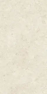 Stontech 4.0 Stone 02 Nat 6 Mm 60x120