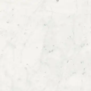 Stontech 4.0 Stone 01 High-Glossy 80x80