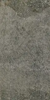 Walks 1.0 Gray 30x60