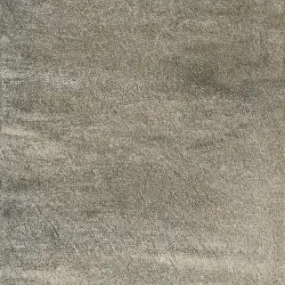 Walks 1.0 Gray Soft 60x60