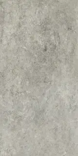 Artifact Of Cerim Used Grey 60x120