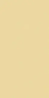 Crayons Cerim Buttercre Nat 6 Mm 60x120