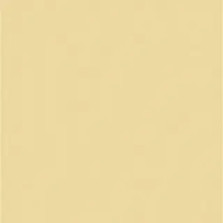 Crayons Cerim Buttercre Nat 6 Mm 120x120