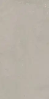 Elemental Stone Grey Limestone Lucido 60x120