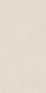 Elemental Stone White Sandstone Lucido 60x120