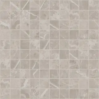 Elemental Stone Grey Dolomia 3x3 Mos Lucido 30x30