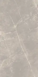 Elemental Stone Grey Dolomia Lucido 60x120