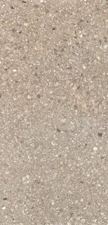 Match Up Cerim Cookie Mix Comfort 6 Mm 60x120