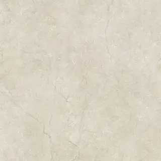 Stone Life Shell 6 Mm 120x120