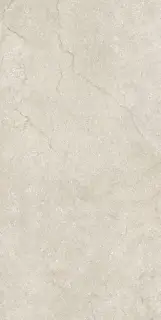 Stone Life Shell 9 Mm 60x120