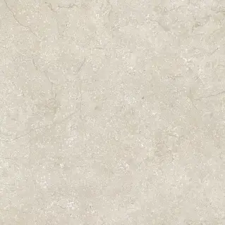 Stone Life Shell 9 Mm 60x60