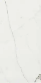 Timeless Calacatta Nat 30x60