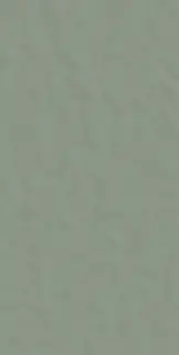 Neutra 6.0 09 Oliva 6 Mm 60x120