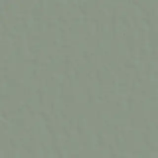 Neutra 6.0 09 Oliva 6 Mm 120x120