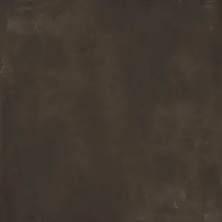 Sensi Terre Carbone Nat 120x120