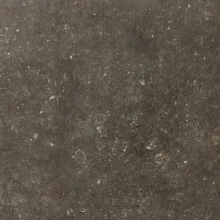 Atmospheres Desir Sable R10 B 80x80