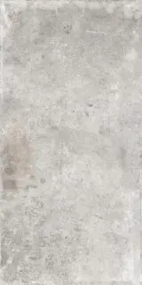 WINDSOR LIGHT GREY RET 60x120  8,5 мм