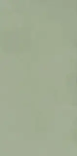 PASTEL X SALVIA RET 60x120  7 мм