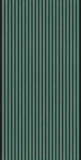 LUDO NOVA 3D GIADA NERO RET 60x120 8,2 мм