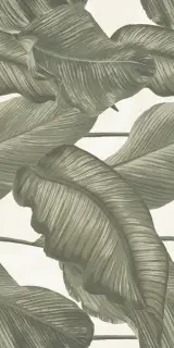 LUDO GIADA DEC BANANO RET 60x120 7 мм