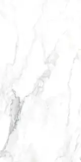 CANOVA ARABESCATO LAP RET 60x120  8,5 мм