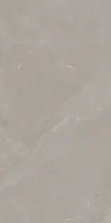 ANGERS AV TAUPE RET 60x120