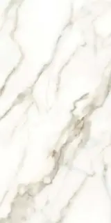 Carrara white 60x120