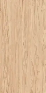 Олива бежевый обрезной ХХ|60x119,5