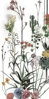 Franz (3 Варианта Паттерна)