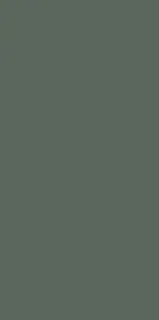 Monotone Juniper 60x120