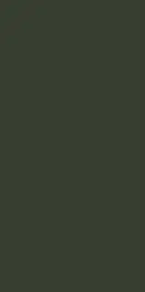 Monotone Olive D2 60x120