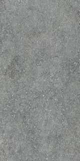 Clastic Grey Matt 12mm 30x60