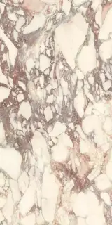 Calacatta Viola Soft 60x120