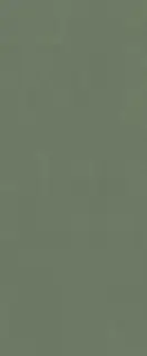 Серфейс Форест Грин 50x120