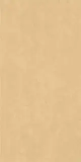 Серфейс Голд Еллоу 80x160