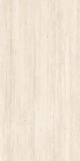 Спастоун Травертин Матовый 60x120