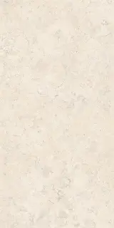 Спастоун Кампосперо Матовый 60x120