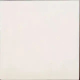 Contemporary Coconut Milk 15x15