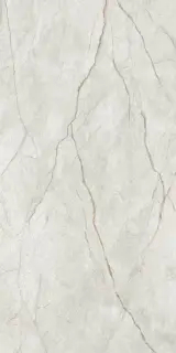 Мгновение Светло-Серый 60x120